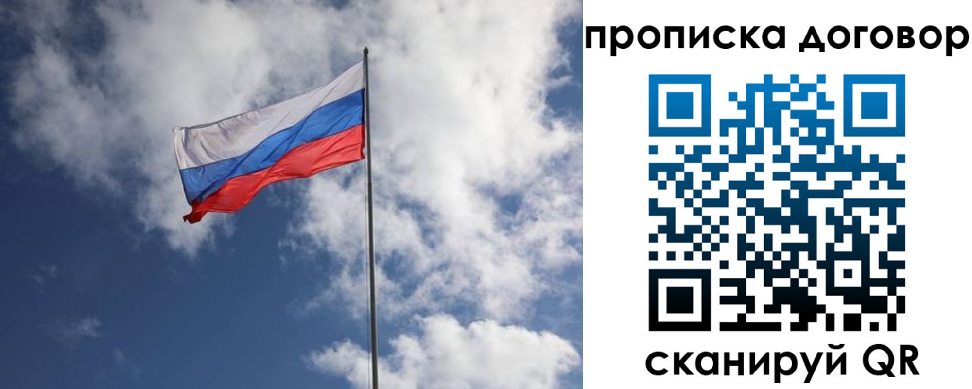 прописка поиск в Мурманской области